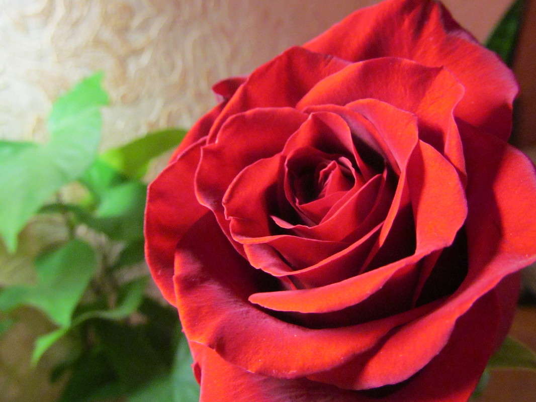 ... ����� ������  �� PhotoGeek.ru #����� #������ ��� �������