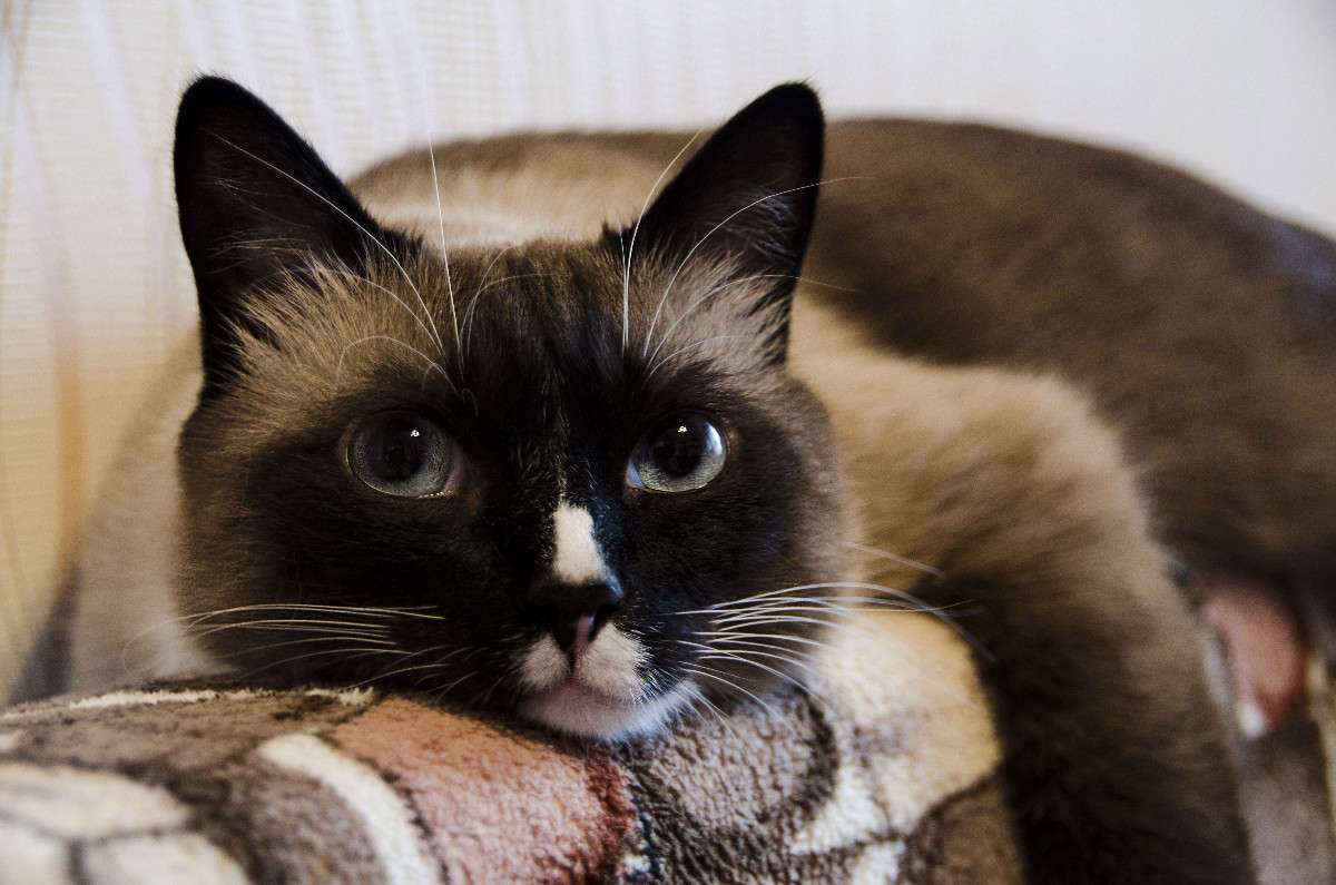 ����! ����� Ketrin Sutcliff �� PhotoGeek.ru #�������� ��� #�������� ���