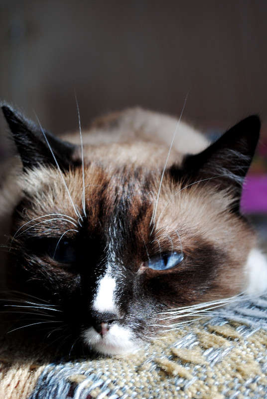 ����=) ����� Ketrin Sutcliff �� PhotoGeek.ru #�������� ���