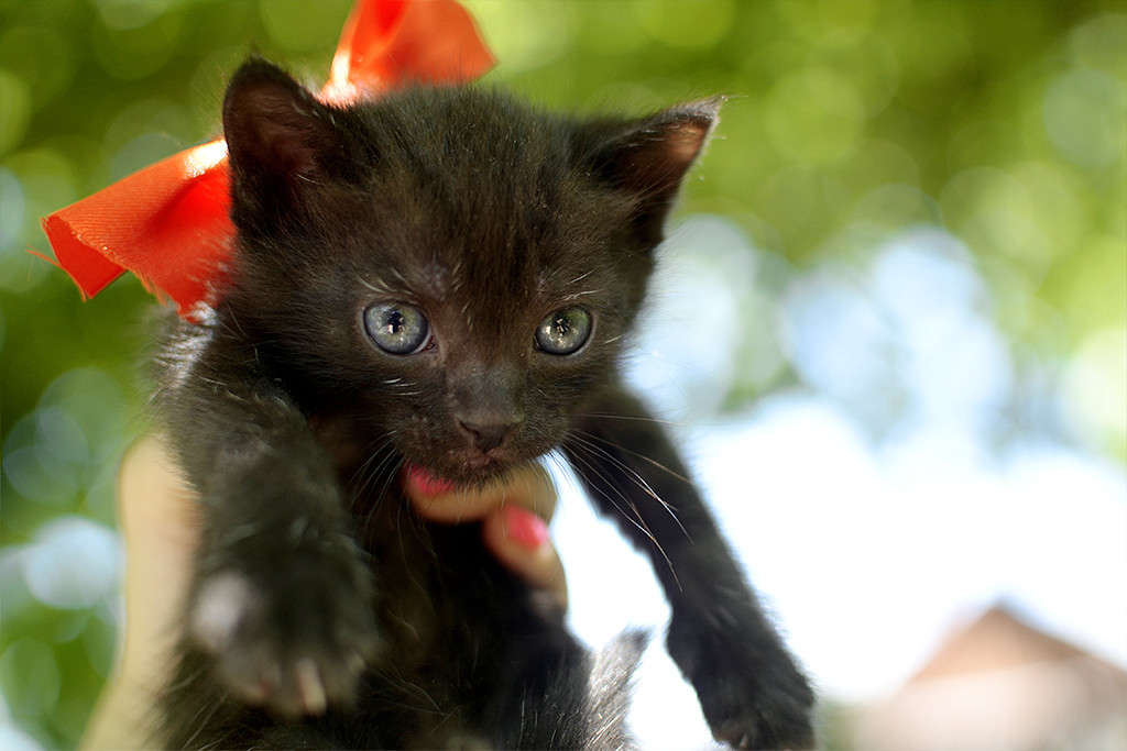 ��������� ���� ����� ���������  �� PhotoGeek.ru #�������� ���