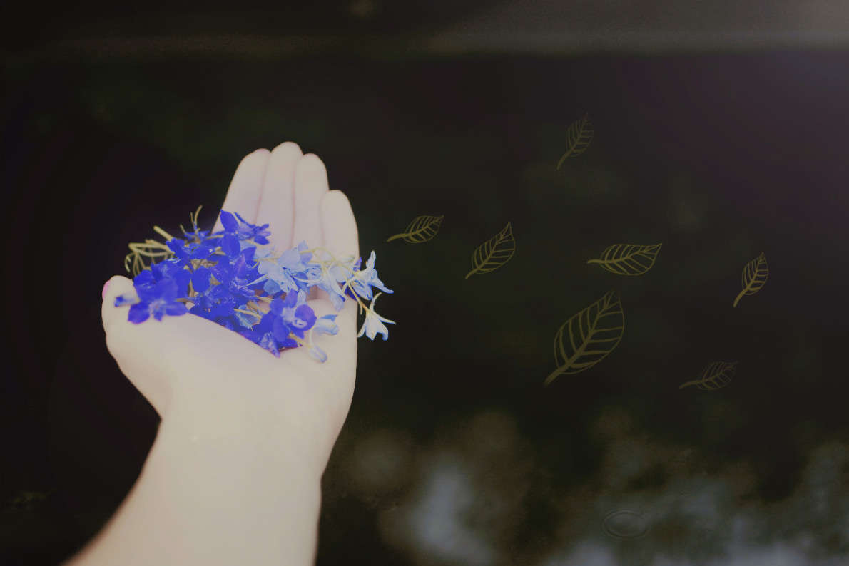 ���������... ����� ���������  �� PhotoGeek.ru #�������� ����������