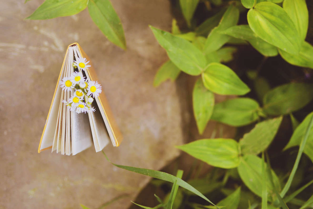 ���������� �������... ����� ���������  �� PhotoGeek.ru #�������� ����������