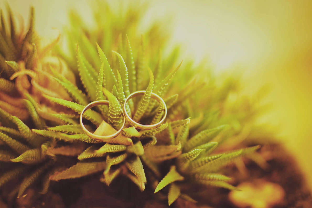 ... ����� ���������  �� PhotoGeek.ru #��������� ����������