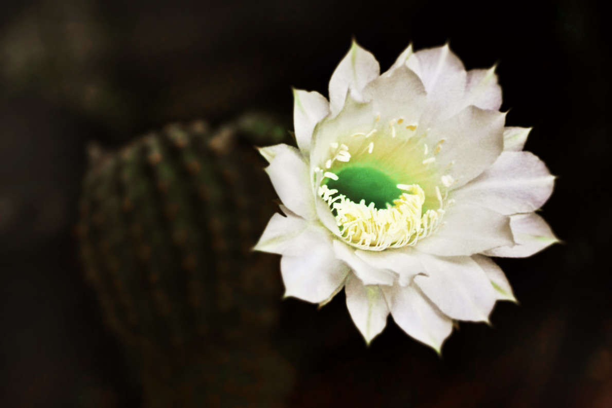 ... ����� ���������  �� PhotoGeek.ru #������ ��� �������