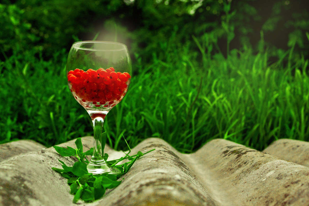 ���� ���� ����� ���������  �� PhotoGeek.ru #���������