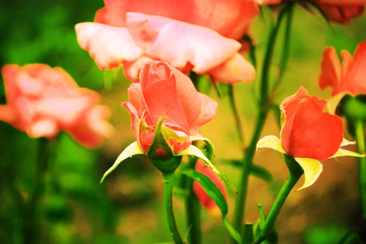 ... ����� ���������  �� PhotoGeek.ru #������ ��� �������