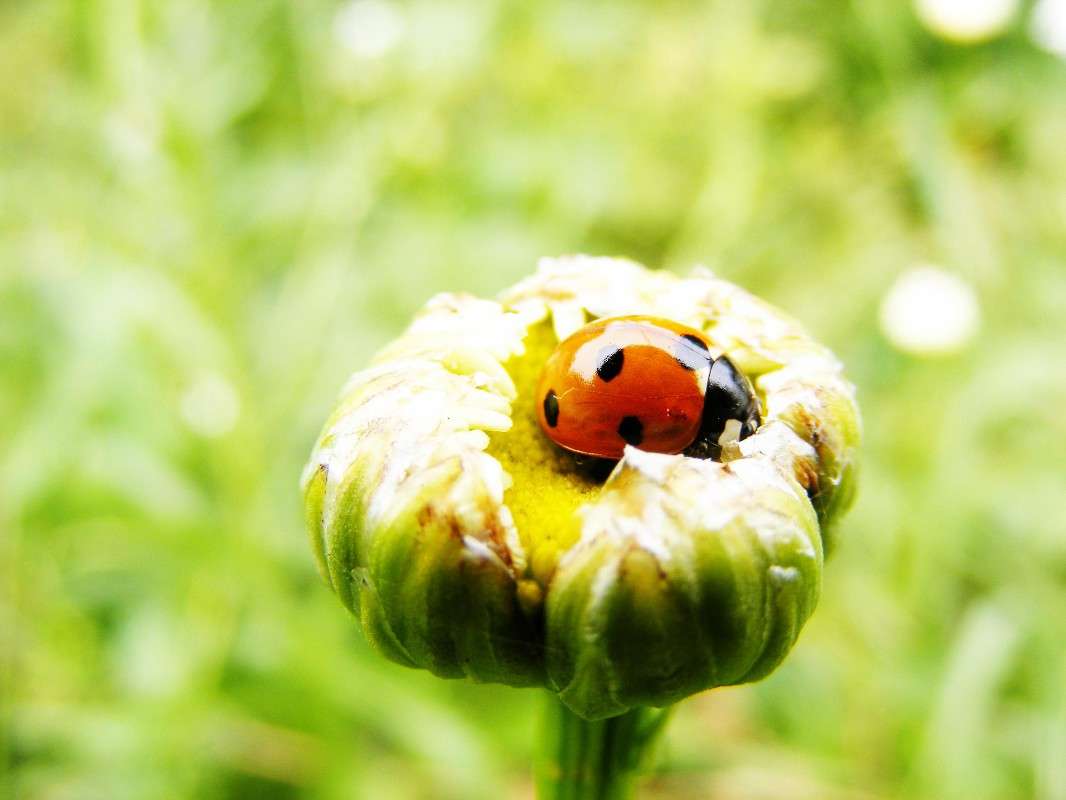 ... ����� ���������  �� PhotoGeek.ru #�����