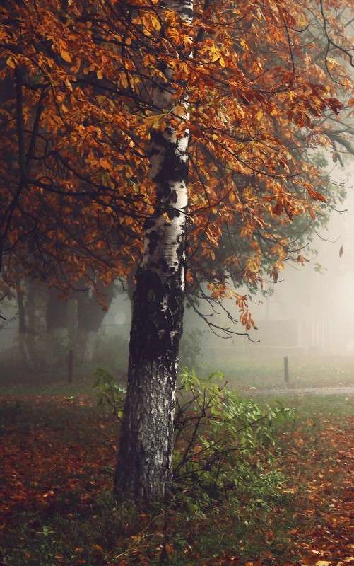 ... ����� ��������� ��������� �� PhotoGeek.ru #������ ��� ������� #����� �������������� #����� ��������