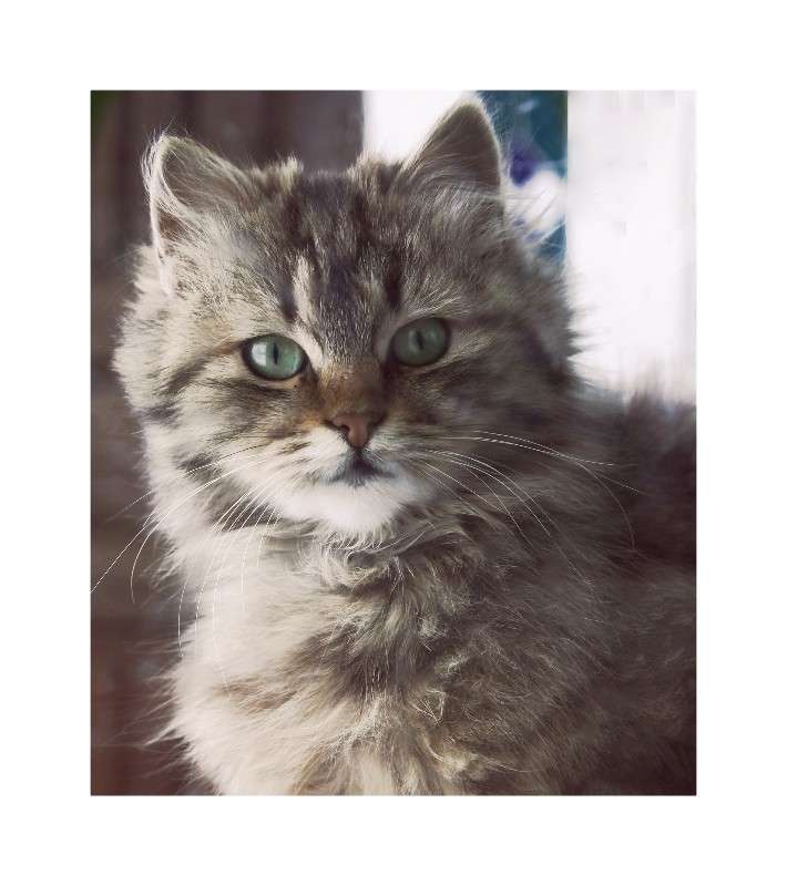 ... ����� ��������� ��������� �� PhotoGeek.ru #�������� ���