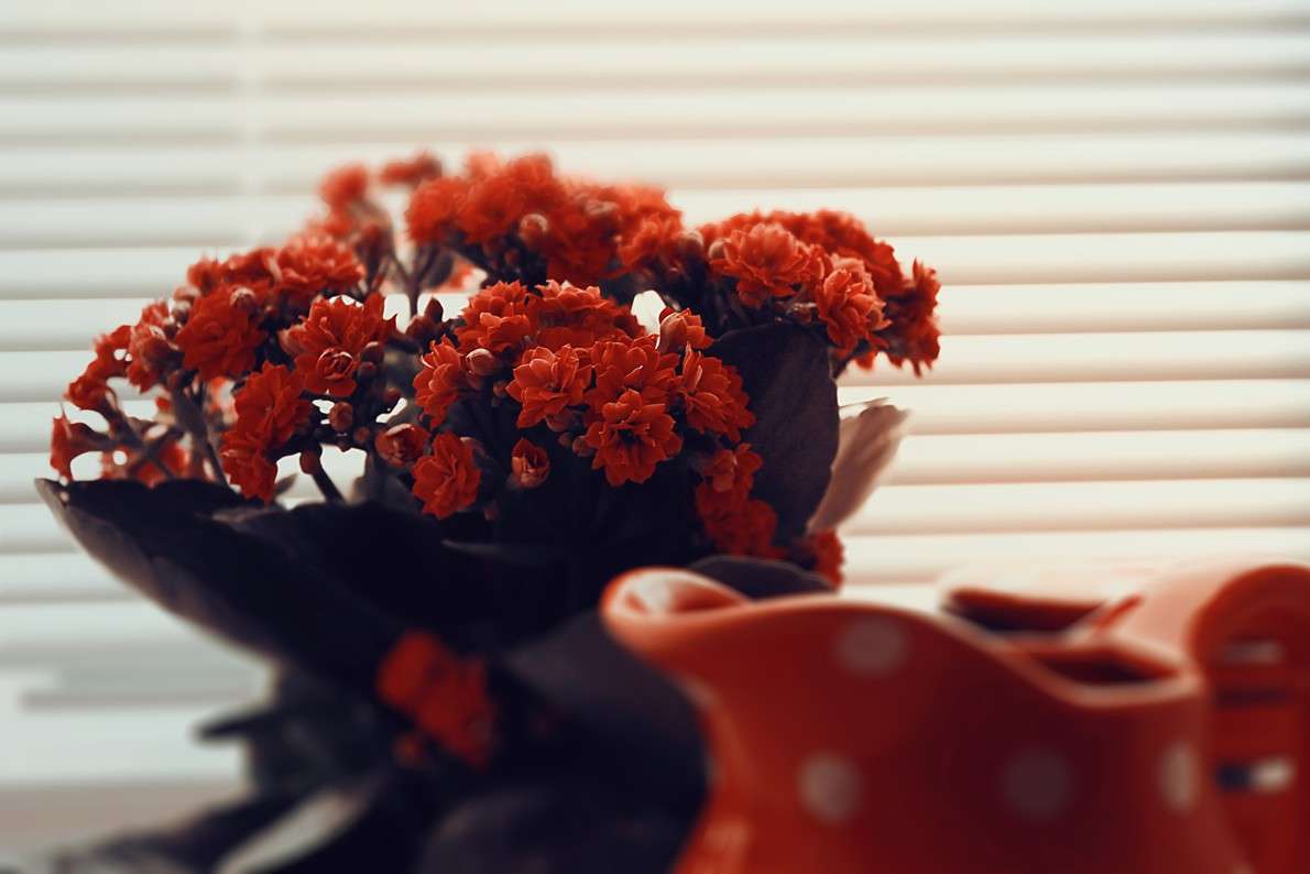 ... ����� ��������� ��������� �� PhotoGeek.ru #����� #���������