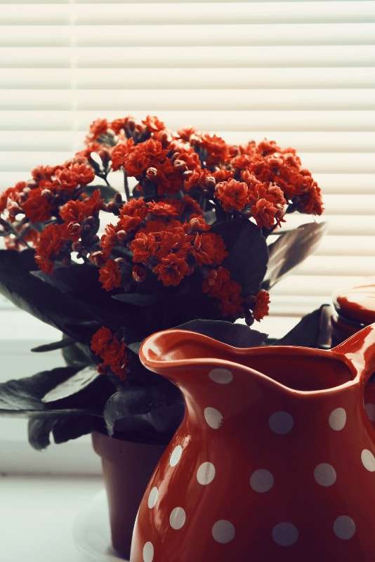 ... ����� ��������� ��������� �� PhotoGeek.ru #����� #���������