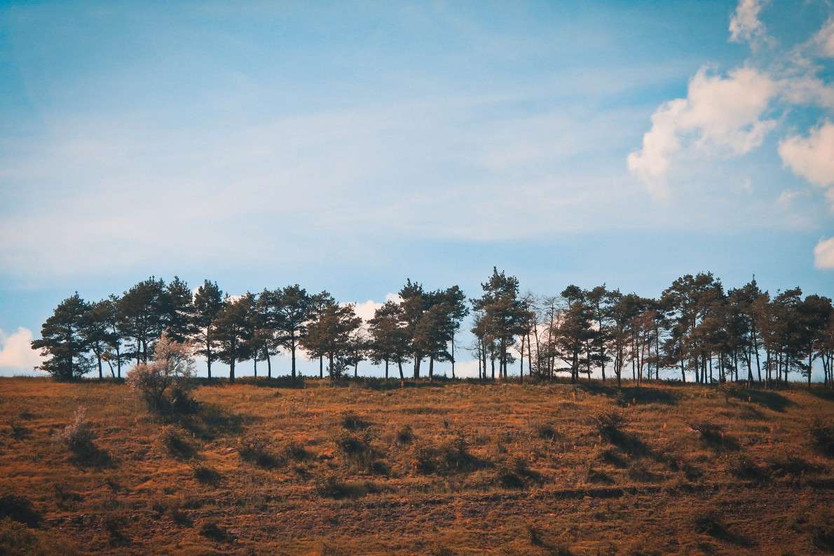 ... ����� ��������� ��������� �� PhotoGeek.ru #�������� ��� #������ ��� ������� #�������� ����������