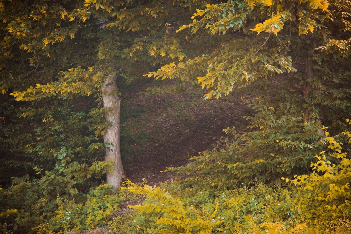 ... ����� ��������� ��������� �� PhotoGeek.ru #������ ��� �������