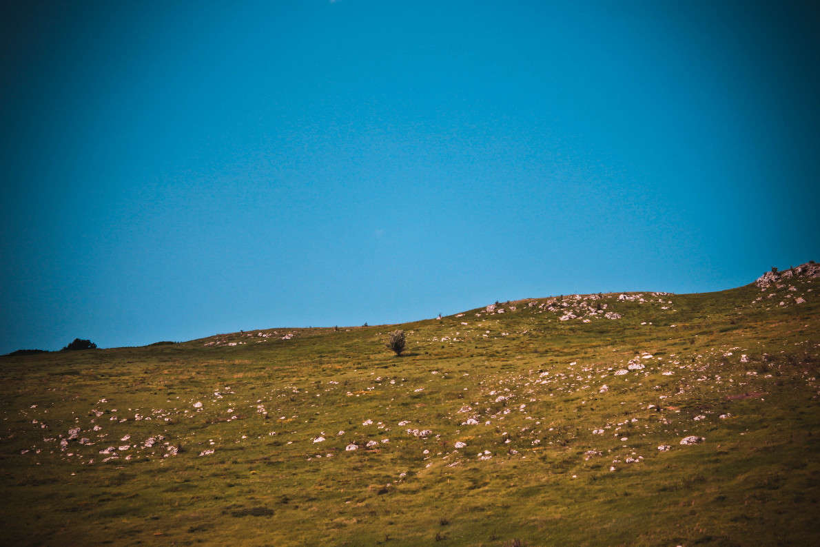 ... ����� ��������� ��������� �� PhotoGeek.ru #������ ��� �������