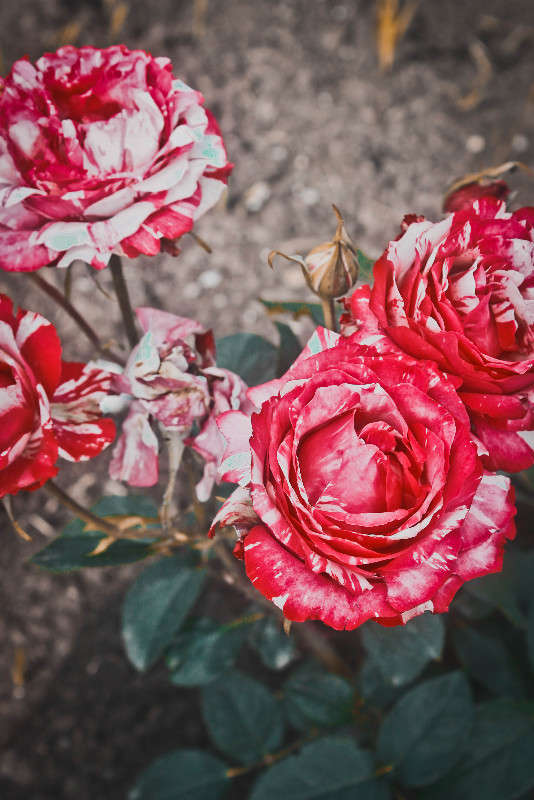 ... ����� ��������� ��������� �� PhotoGeek.ru #����� #���������