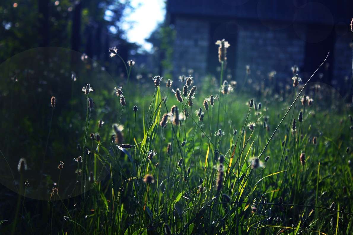 �������� �������� ����� ��������� ��������� �� PhotoGeek.ru #����� #������ ��� ������� #�������� ����������