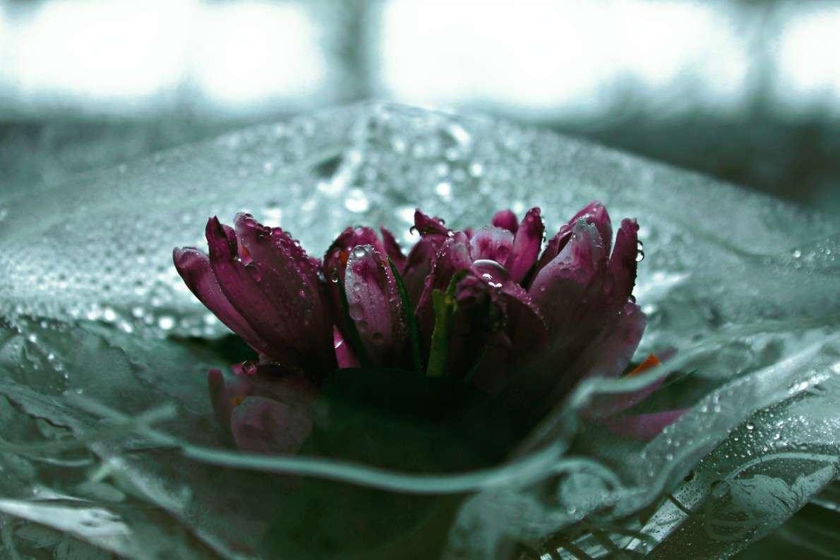 ���� ����� ��������� ��������� �� PhotoGeek.ru #����� #��������� #������ ��� ������� #�����