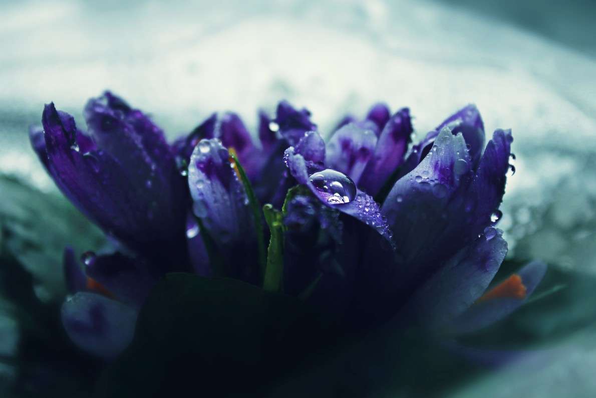 8.03.2013 ����� ��������� ��������� �� PhotoGeek.ru #����� #��������� #������ ��� ������� #�����