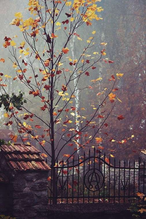 6:40 ����� ��������� ��������� �� PhotoGeek.ru #������ ��� ������� #�������� ����������