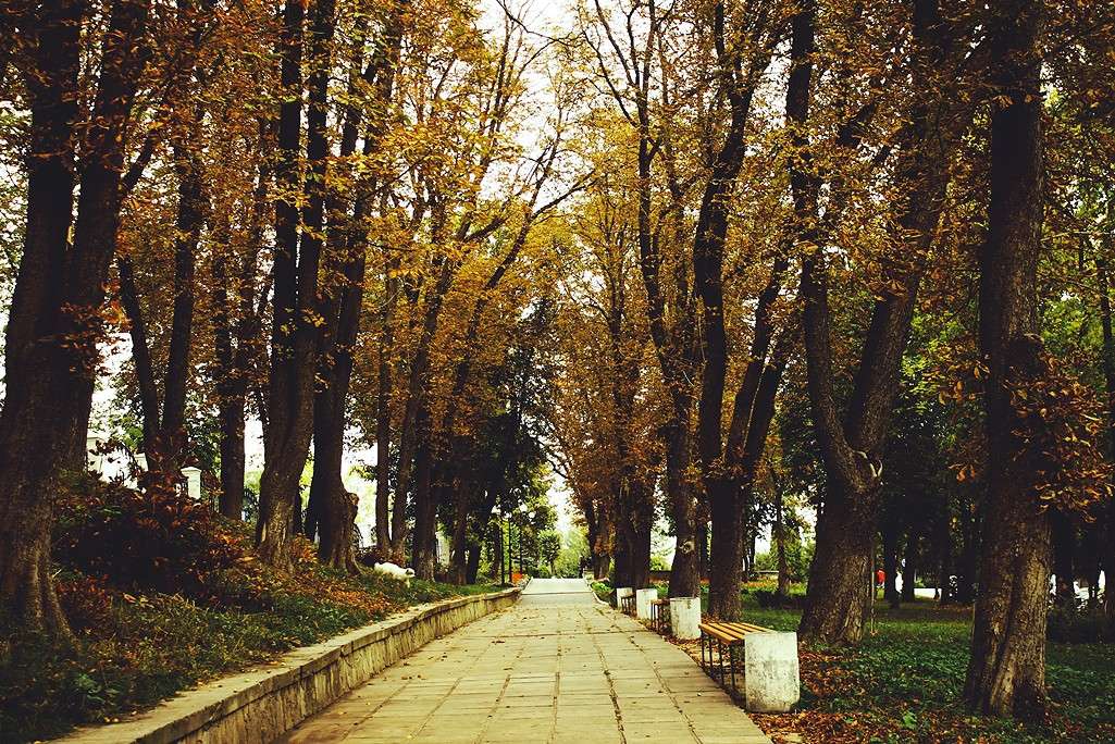 ... ����� ��������� ��������� �� PhotoGeek.ru #������ ��� �������