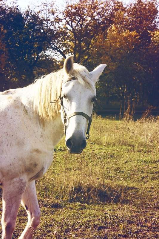 ... ����� ��������� ��������� �� PhotoGeek.ru #�������� ���