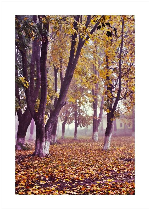 ... ����� ��������� ��������� �� PhotoGeek.ru #������ ��� ������� #�������� ����������