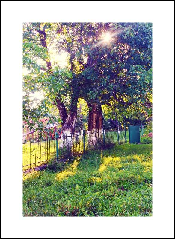 ... ����� ��������� ��������� �� PhotoGeek.ru #������ ��� ������� #�������� ����������