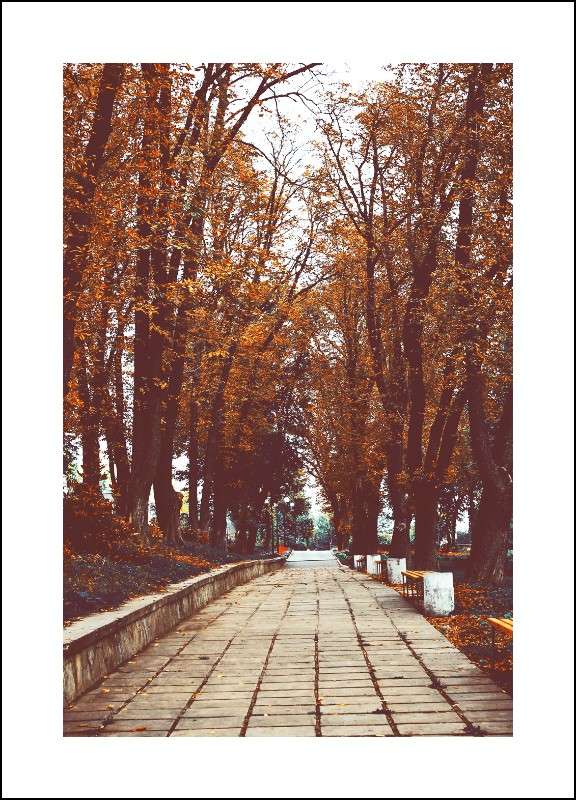 ... ����� ��������� ��������� �� PhotoGeek.ru #������ ��� �������