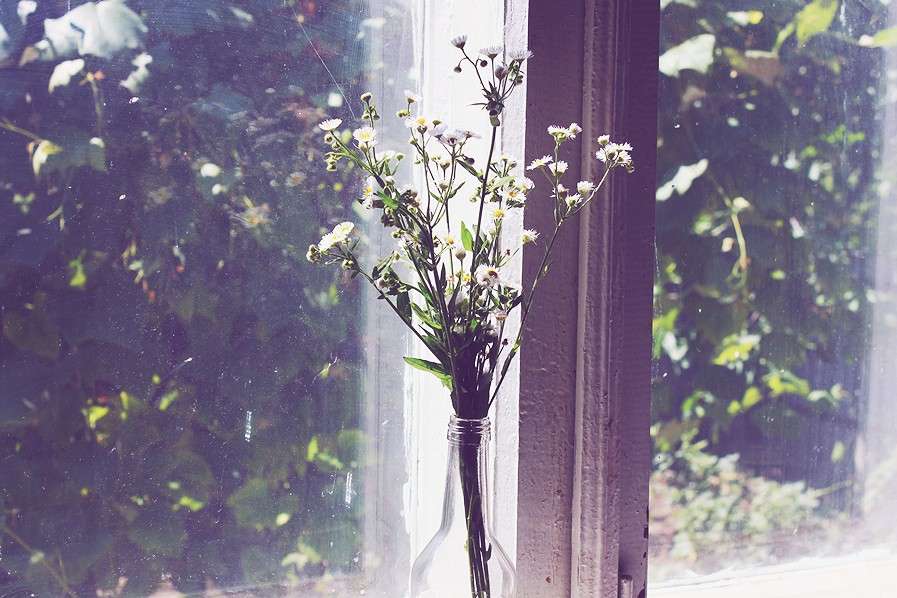 ... ����� ��������� ��������� �� PhotoGeek.ru #�������� ����������