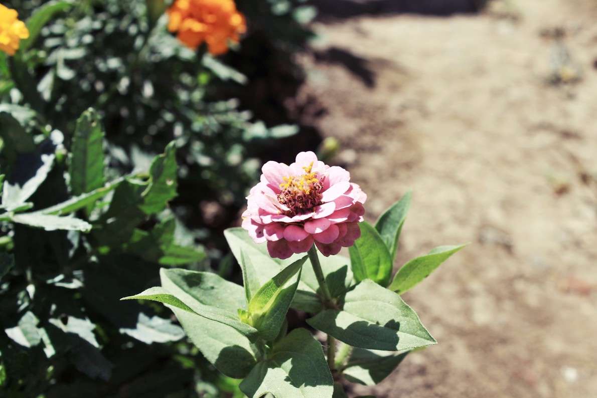 ... ����� ��������� ��������� �� PhotoGeek.ru #�������� ����������