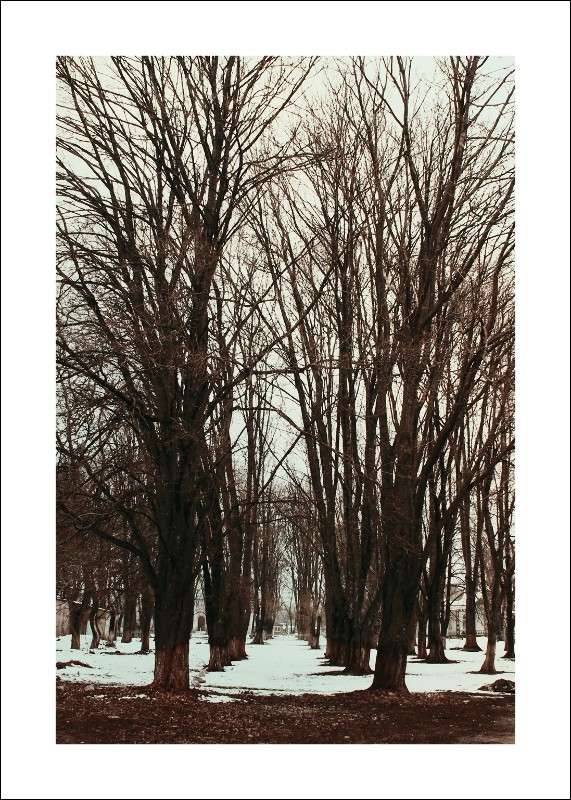 ... ����� ��������� ��������� �� PhotoGeek.ru #����� #������ ��� �������