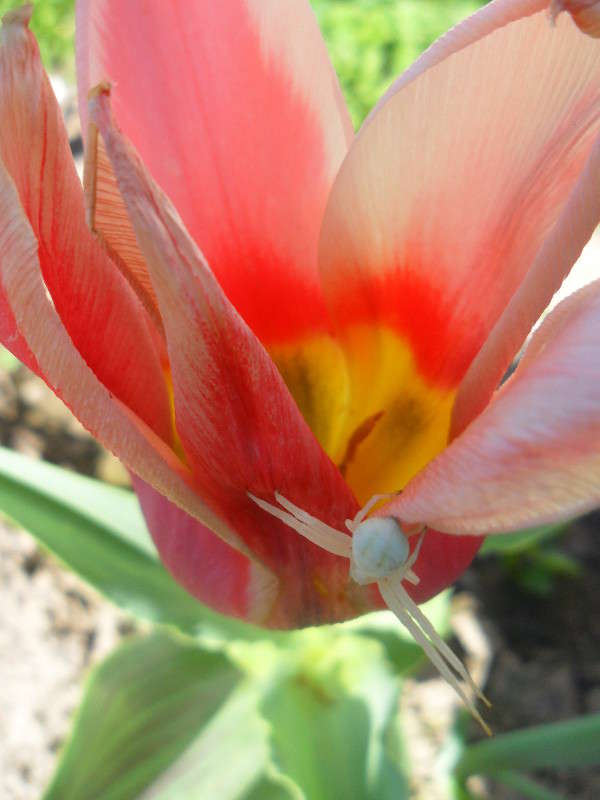 �����,,, ����� ���� ��������� �� PhotoGeek.ru #����� #�������� ��� #������ ��� �������