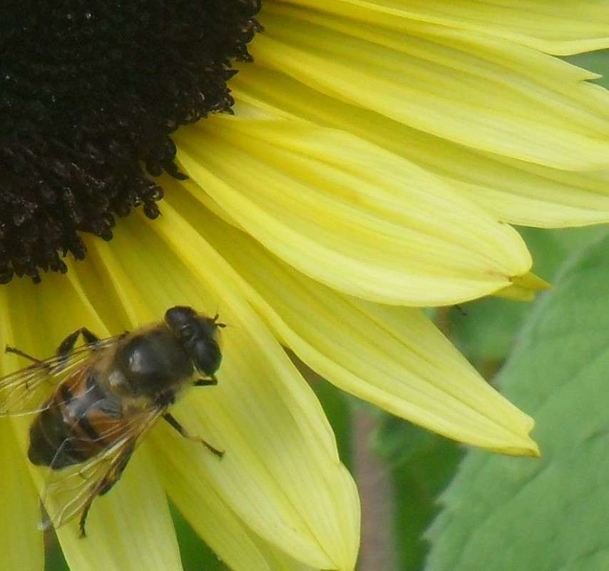 ���������) ����� ���� ��������� �� PhotoGeek.ru #����� #�������� ��� #������ ��� �������