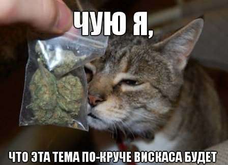 ... ����� ���������� ��������� �� PhotoGeek.ru #�������� ��� #����� � ������ ��