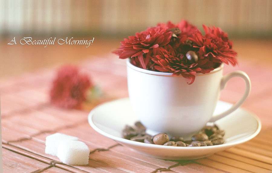 ) ����� ������ ������ �� PhotoGeek.ru #���������