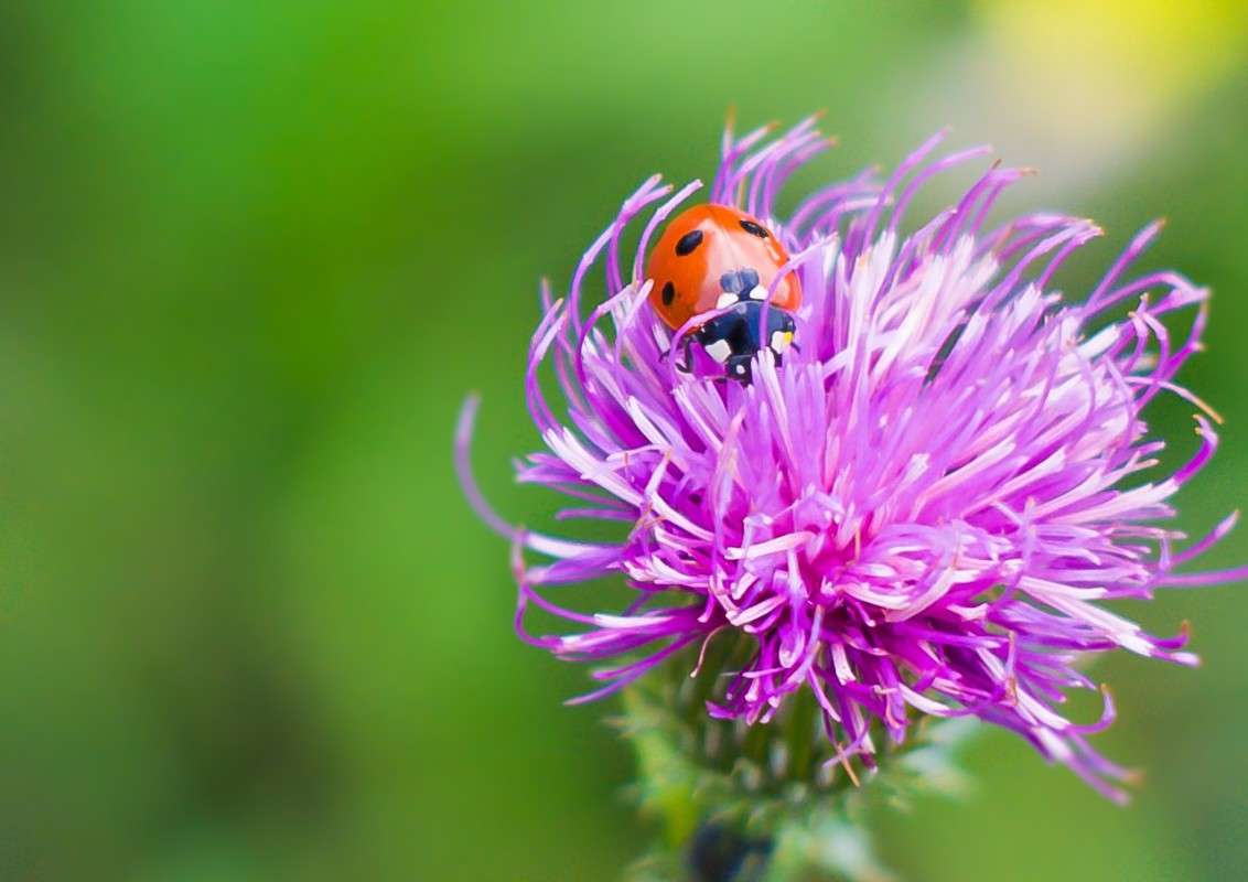 ... ����� ������ ������ �� PhotoGeek.ru #�����