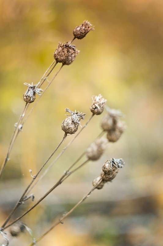 ... ����� ������ ������ �� PhotoGeek.ru #����� #����� ��������������