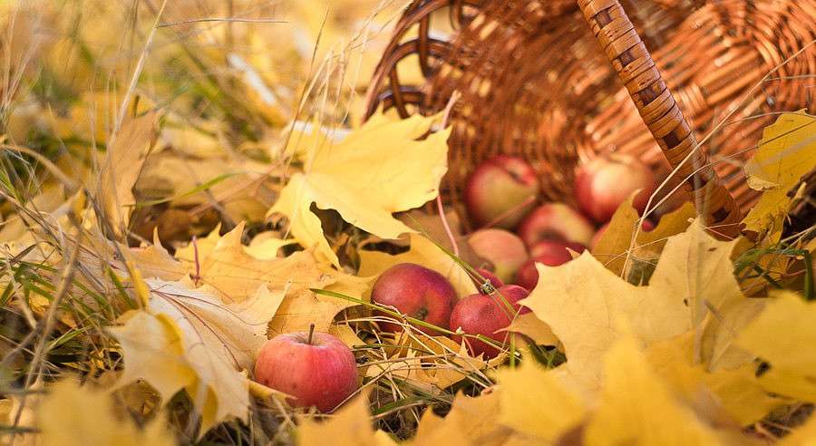 ����� ����� ������ ������ �� PhotoGeek.ru #���������