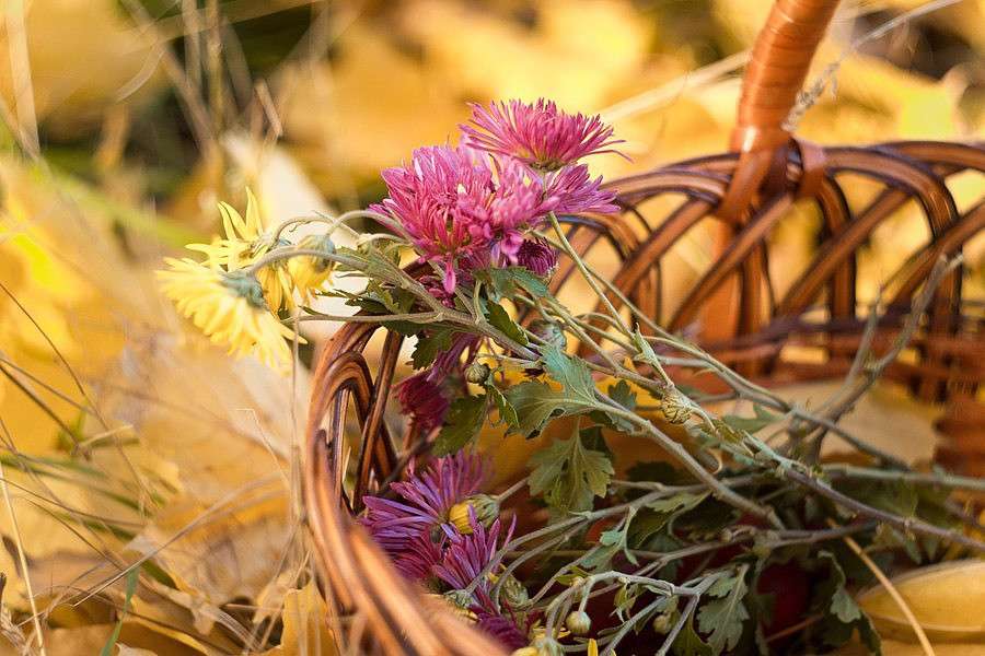 ... ����� ������ ������ �� PhotoGeek.ru #���������