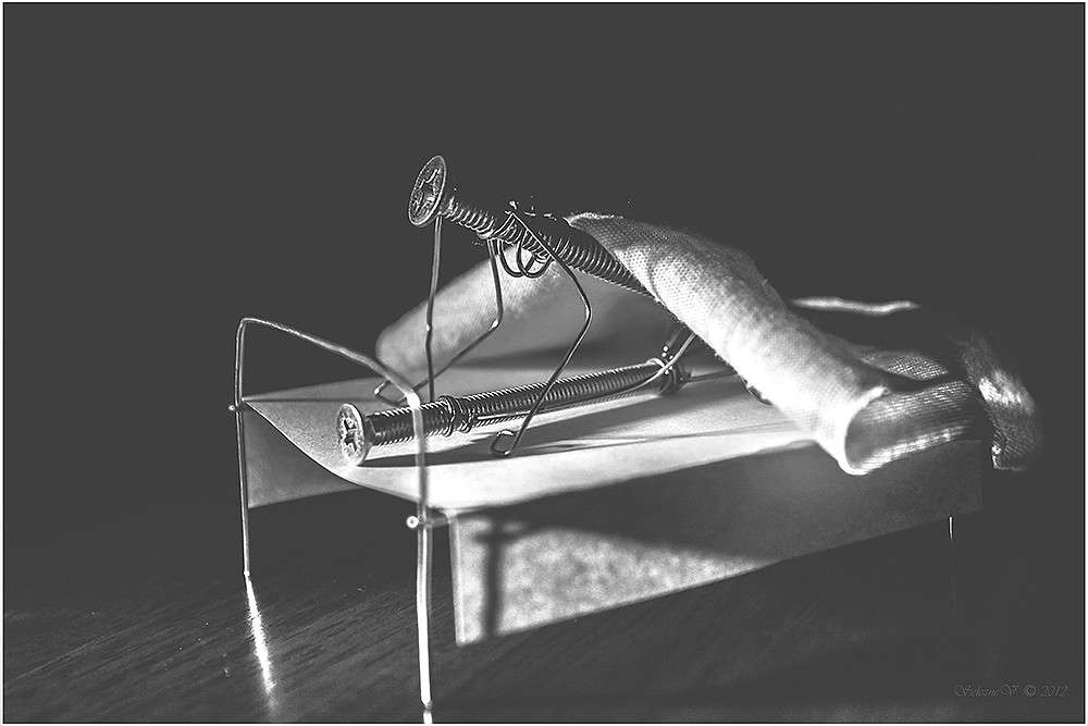 ��� ����� ������... ����� �����  �� PhotoGeek.ru #����� #�����-�����