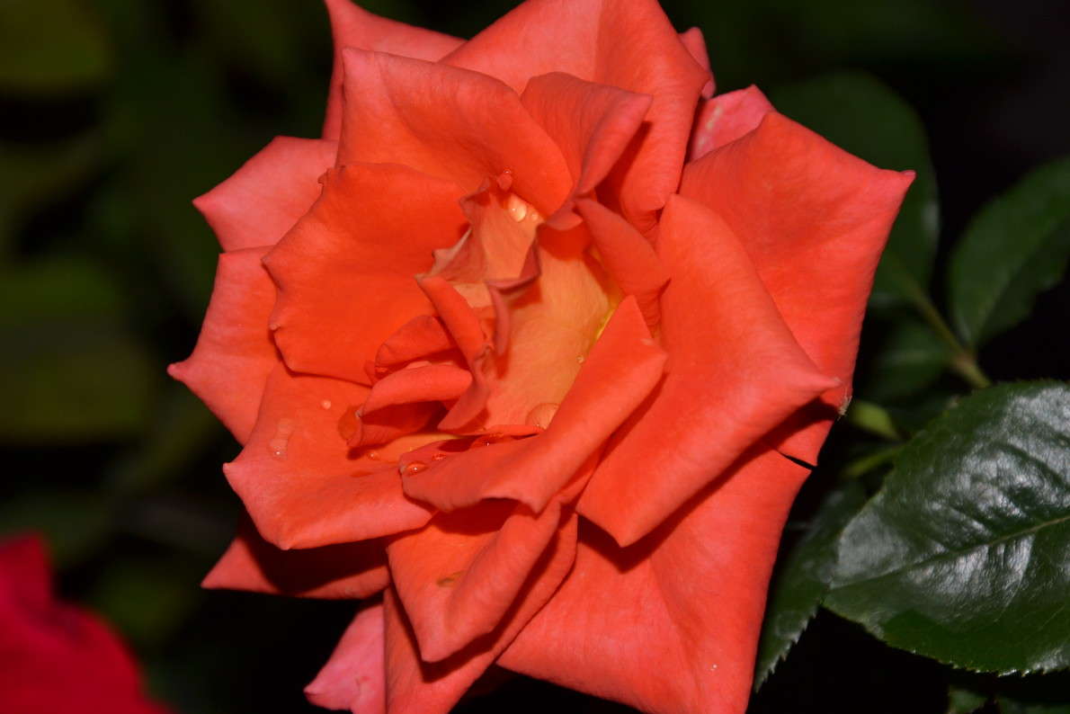  ����� ��������  �� PhotoGeek.ru