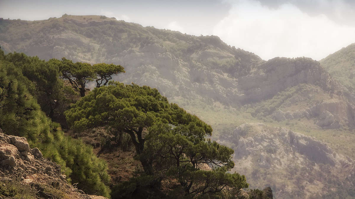 �������� ����� 2 ����� ������� ������� �� PhotoGeek.ru #������ ��� �������