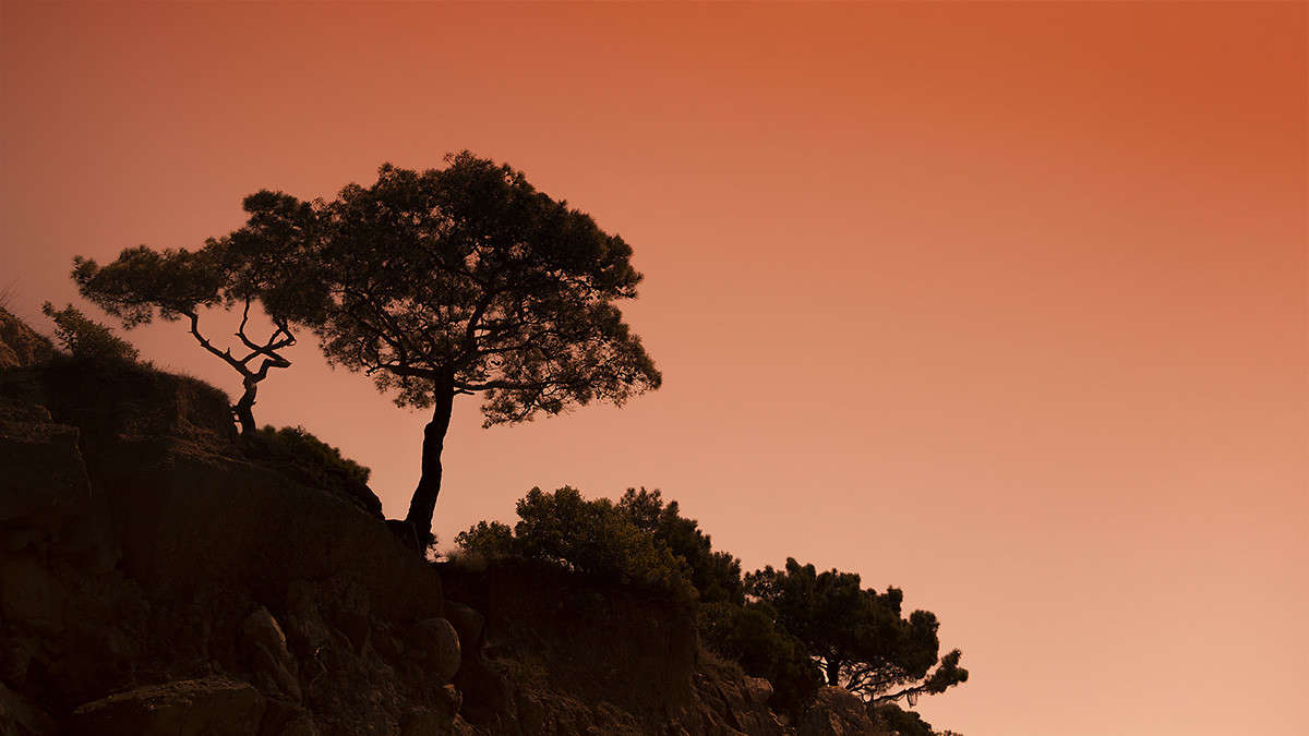 �������� ���������� ����� ������� ������� �� PhotoGeek.ru #������ ��� �������