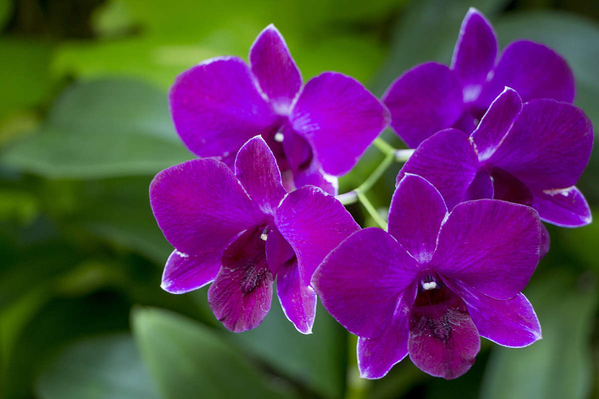 ���� ����� ������� ������� �� PhotoGeek.ru #����� ��������������