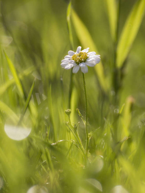 *** ����� ������� ������� �� PhotoGeek.ru #����� ��������������