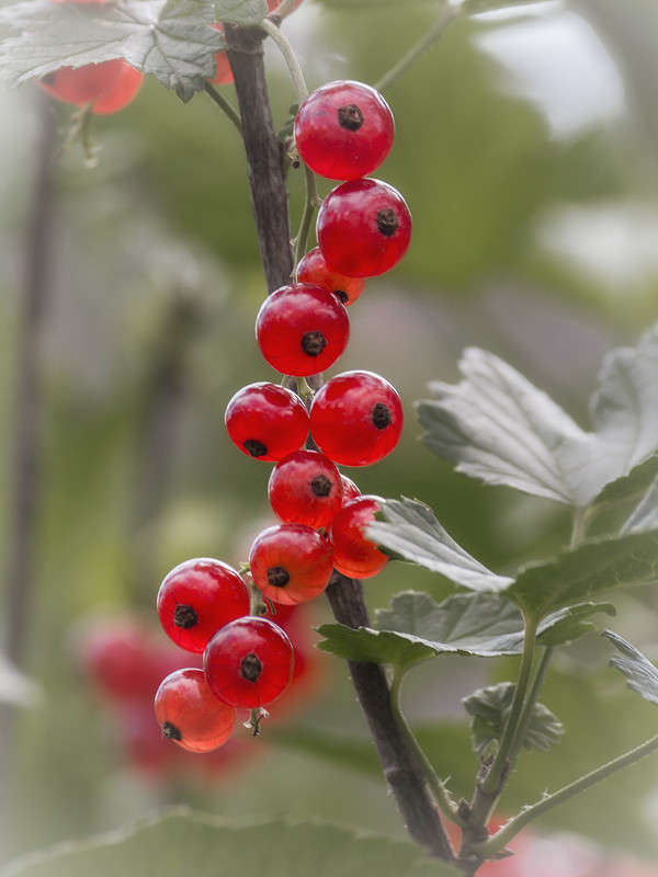 *** ����� ������� ������� �� PhotoGeek.ru #����� ��������������