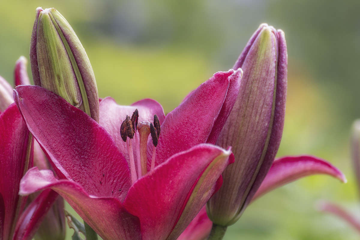 *** ����� ������� ������� �� PhotoGeek.ru #����� ��������������