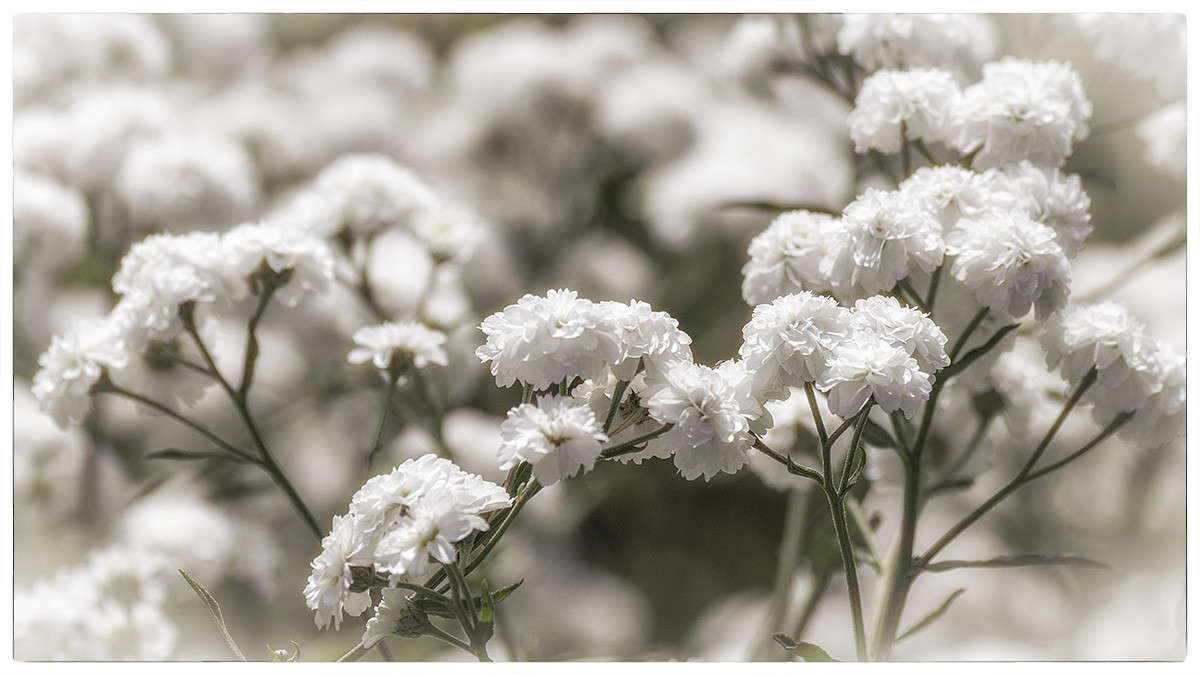 *** ����� ������� ������� �� PhotoGeek.ru #����� ��������������