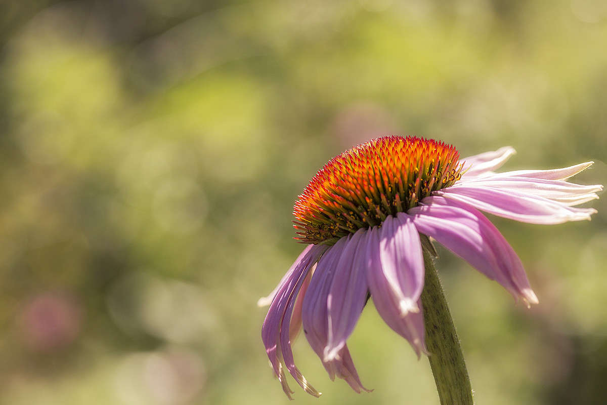 *** ����� ������� ������� �� PhotoGeek.ru #����� #����� ��������������