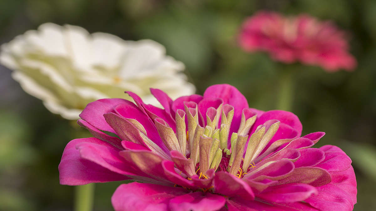 *** ����� ������� ������� �� PhotoGeek.ru #����� #����� ��������������